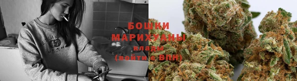 прущие грибы Нефтегорск