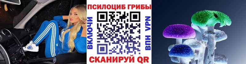 Псилоцибиновые грибы Cubensis  Купить  Алупка 